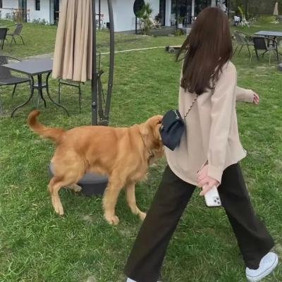 鬼玩人崛起